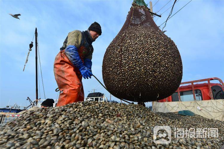 视觉山东一周图选+名家点评（2024年第10期）(图2)