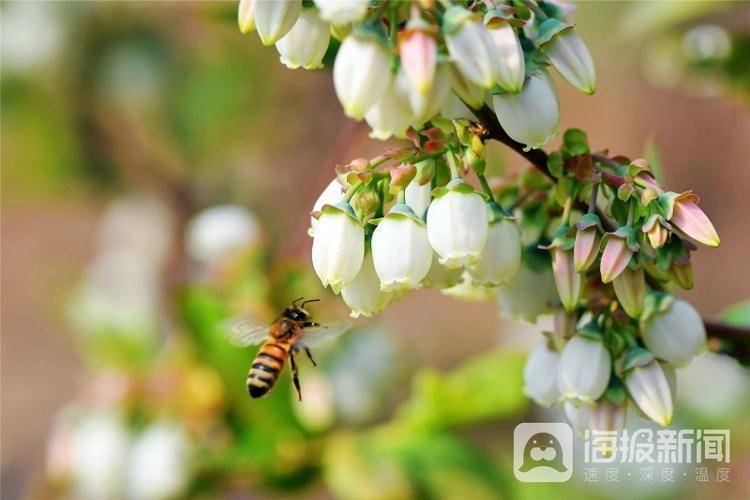 视觉山东一周图选+名家点评（2024年第10期）(图5)