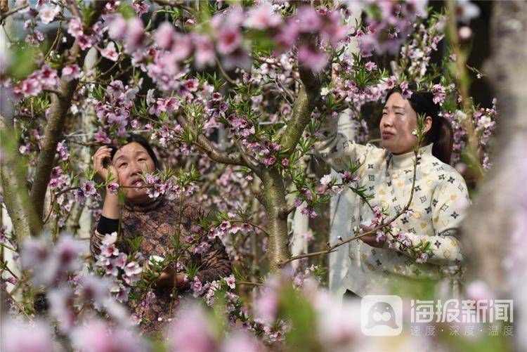 视觉山东一周图选+名家点评（2024年第10期）(图6)