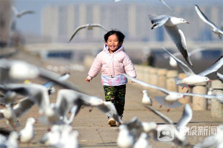 视觉山东一周图选+名家点评（2024年第10期）(图10)