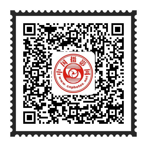 今晚截稿大奖iPadAir！2024年第17届苹果手机（IPPA）摄影大奖赛(图2)