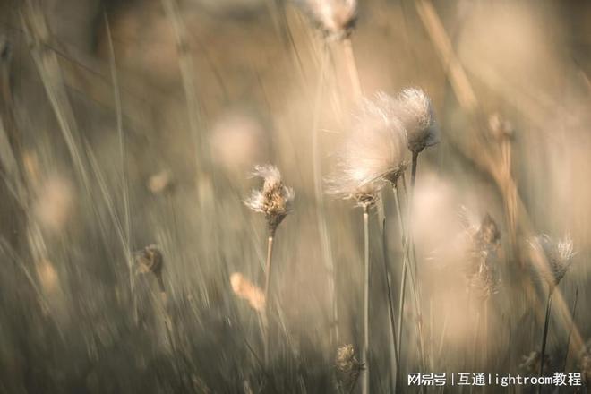 摄影基础：摄影中的光圈是什么怎么迅速掌握光圈技巧？(图3)