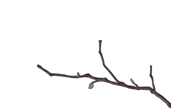 @全市单位工会2024无锡市职工摄影书画作品征集活动开始啦！(图2)