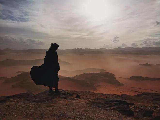 2024年索尼世界摄影大赛获奖作品揭晓(图2)