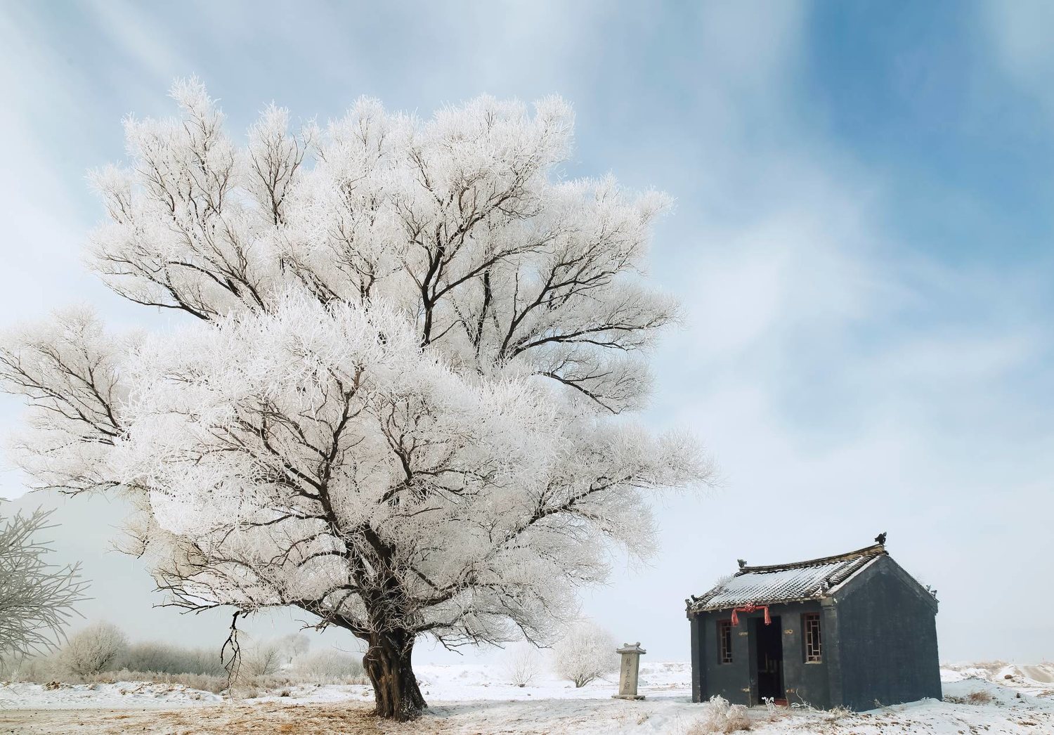 2024冬日摄影拍摄题材攻略前期后期都给你准备了记得收藏！中国旅游攻略-游侠客旅行(图4)