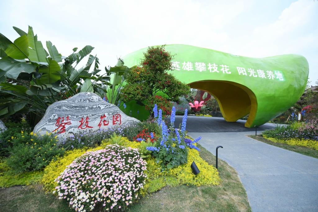 2024年成都世界园艺博览会开幕(图2)