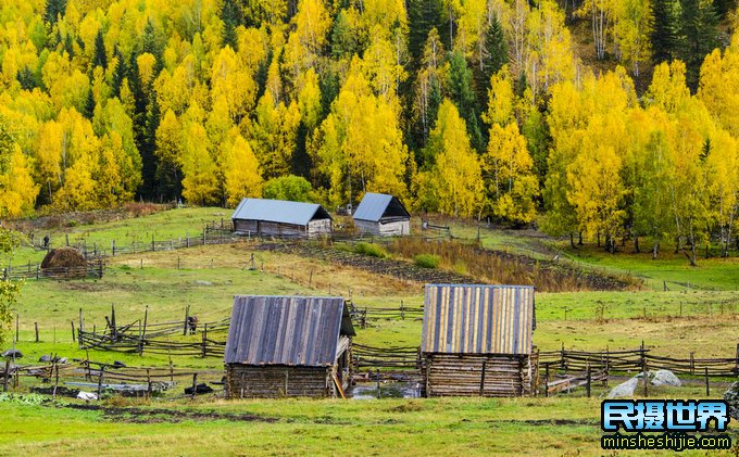 2024年9月秋季新疆摄影团(含转场)北疆大环线深度摄影团一次看遍北疆秋色美景(图3)