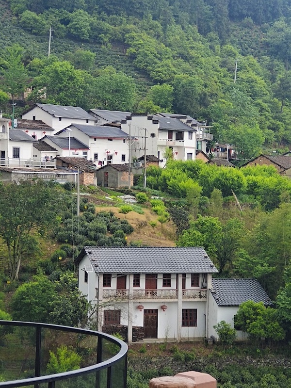 “烟雨大黄山星空小呈阳”2024年徽州文旅场景体验第一季开启(图1)
