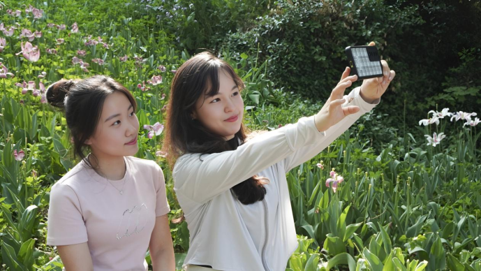 “济南如此多娇”2024济南文旅摄影大赛征稿启事(图1)