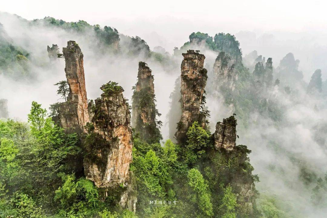 获奖作品揭晓丨2024欢乐春节—全球华人新春摄影大赛丨2024GCPC(图12)