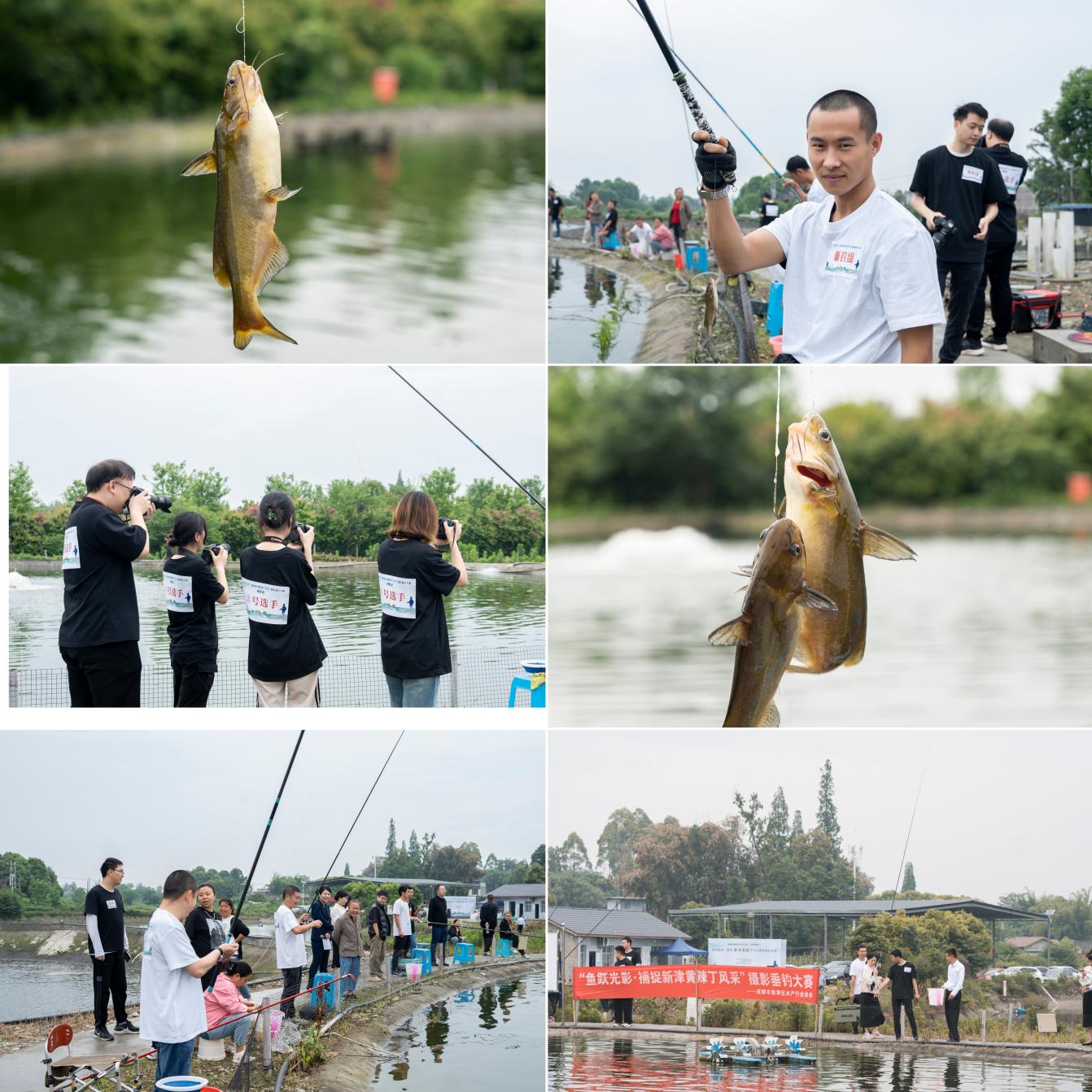 2024年新津区“鱼跃光影·捕捉新津黄辣丁风采”摄影垂钓大赛圆满成功(图2)