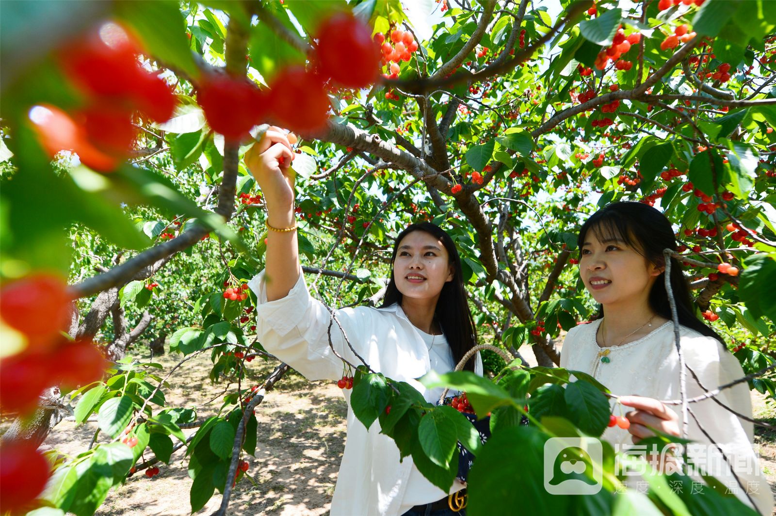 视觉山东一周图选（2024年第21期）(图10)
