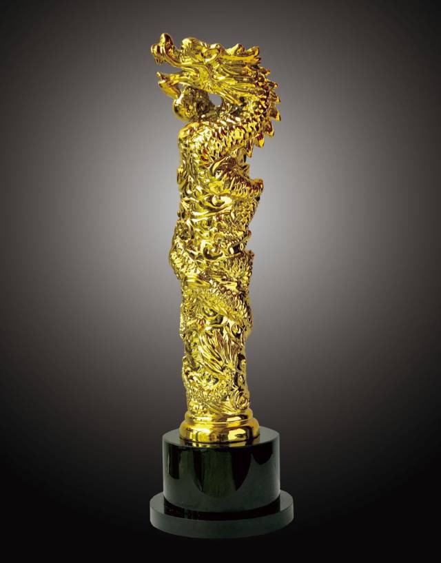 摄影家游光辉斩获2024中国摄影金龙奖评委会大奖(图3)