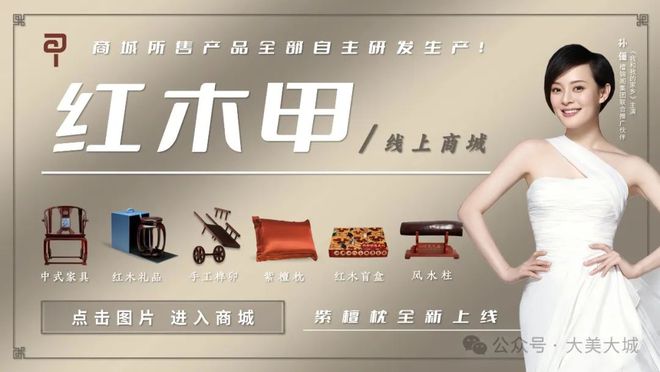 大城县文化馆举办2024年摄影培训班(图4)