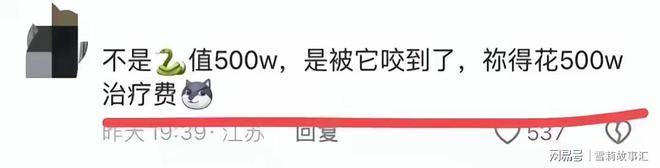 女子惊遇五百万“莽山烙铁头”近距离拍照不当回事！网友：无知(图5)