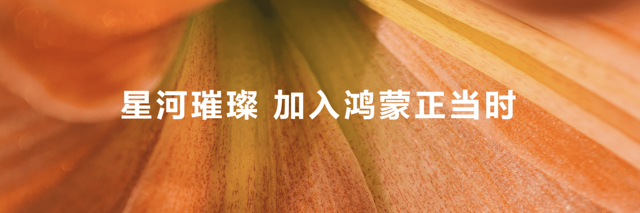 HDC2024落幕鸿蒙原生应用全面冲刺为消费者带来无缝智能生活(图4)