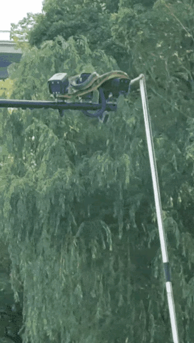 武汉江滩一条大蛇盘在监控上蛇说：老是对我拍照我上来瞅瞅(图2)