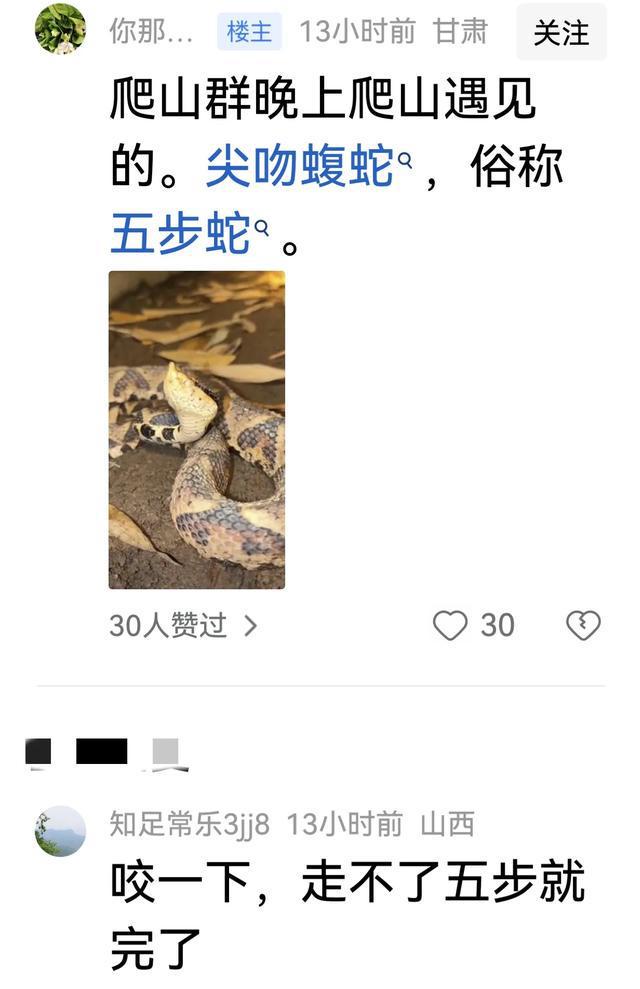 武汉江滩一条大蛇盘在监控上蛇说：老是对我拍照我上来瞅瞅(图8)
