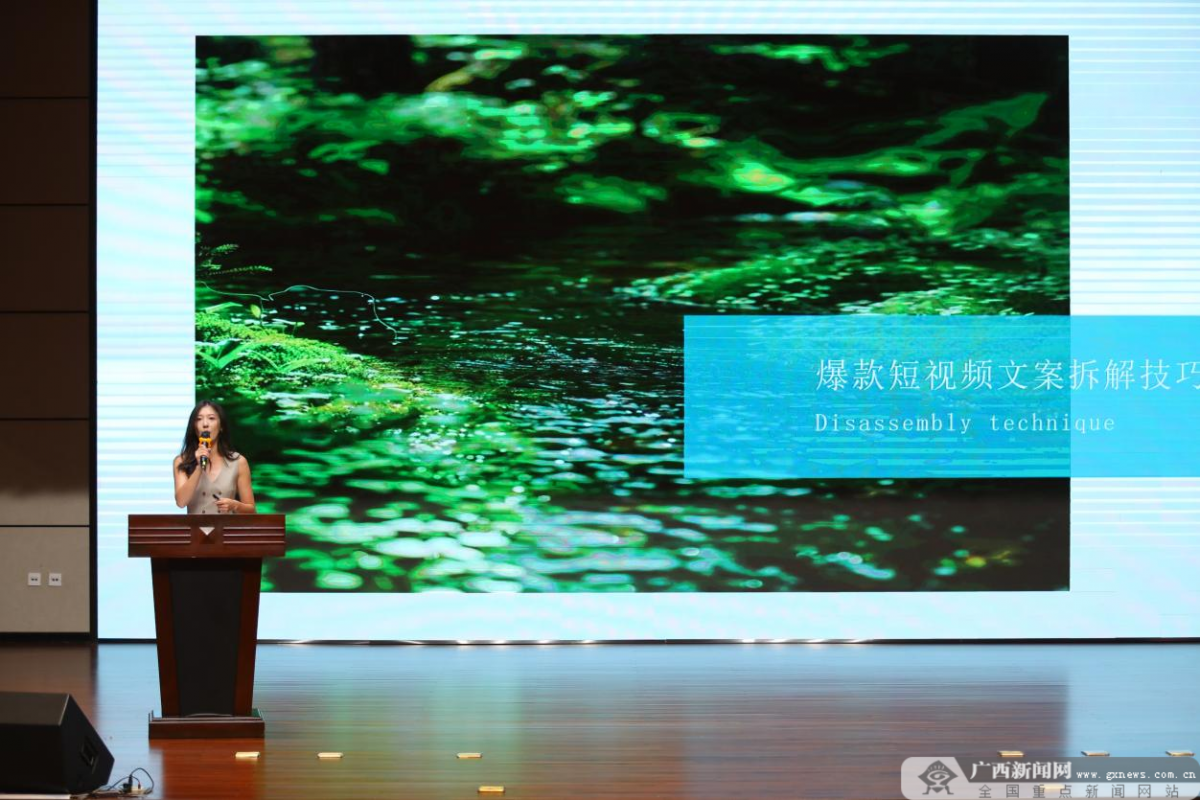 共话广西文旅“吸粉秘籍”2024年广西文化旅游达人主题沙龙在南宁举行(图3)