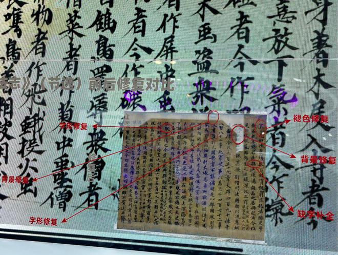 2024世界人工智能大会上静安拿出了哪些“硬科技”？(图1)