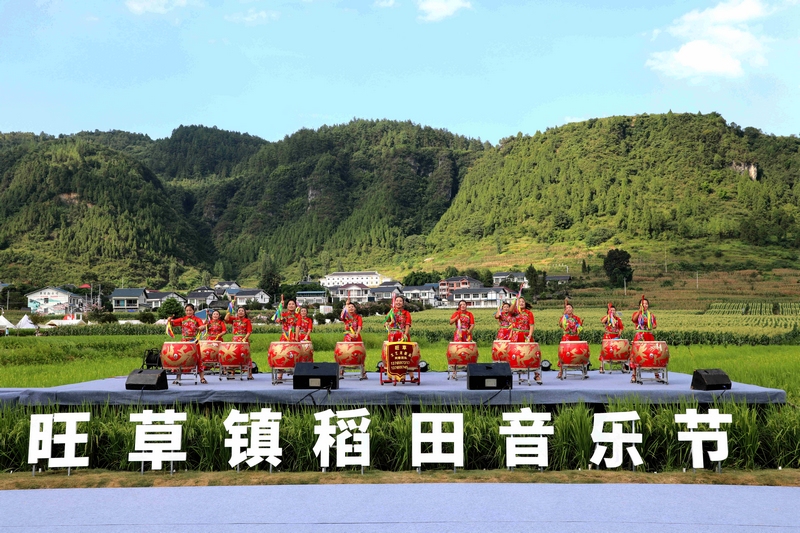 绥阳县旺草镇2024年稻田音乐节：将音乐“热度”转化为旅游“增量”(图1)