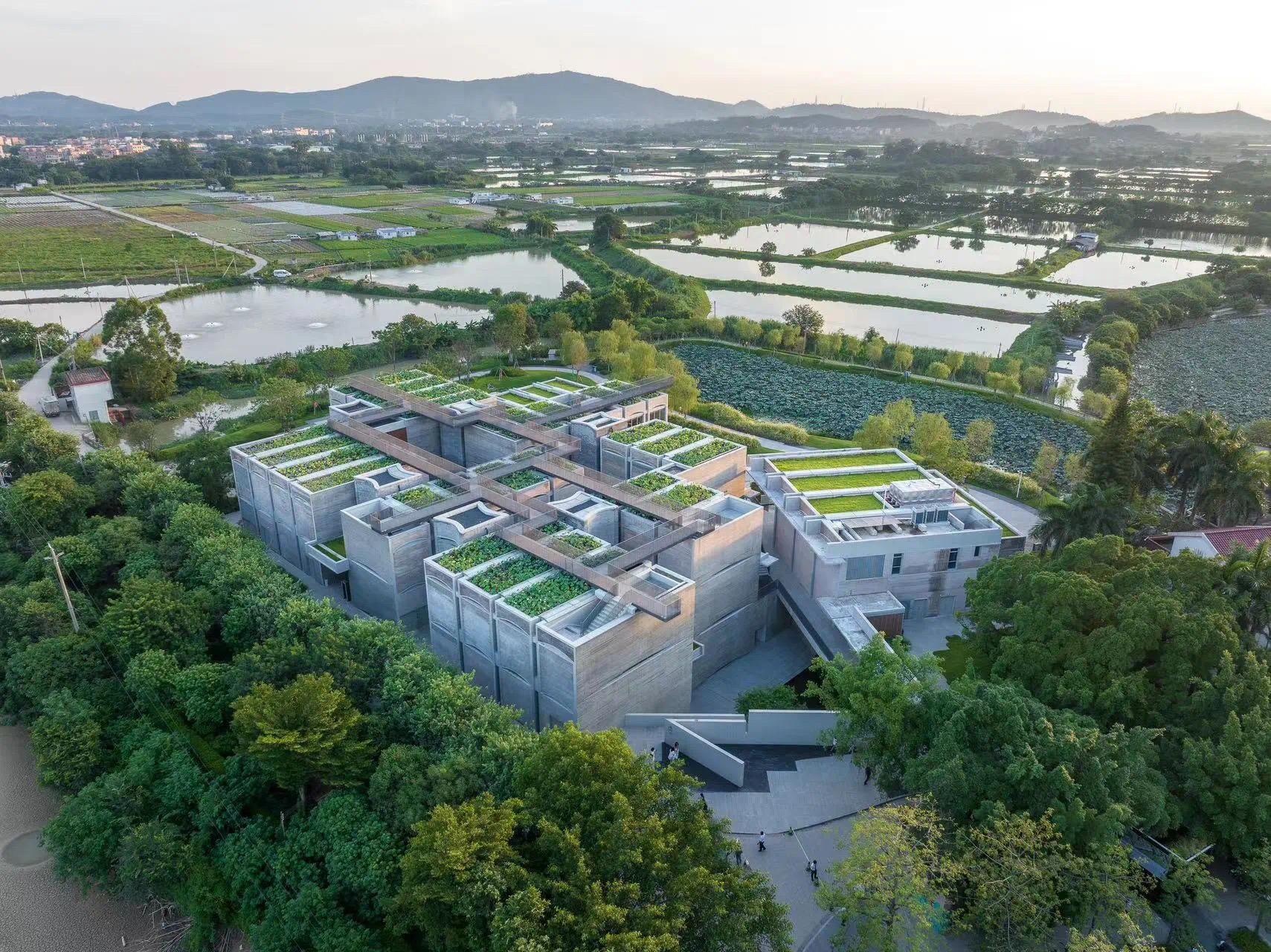 2024山海计划短片《落水天沉落去》广州花都塱头古村开机(图4)