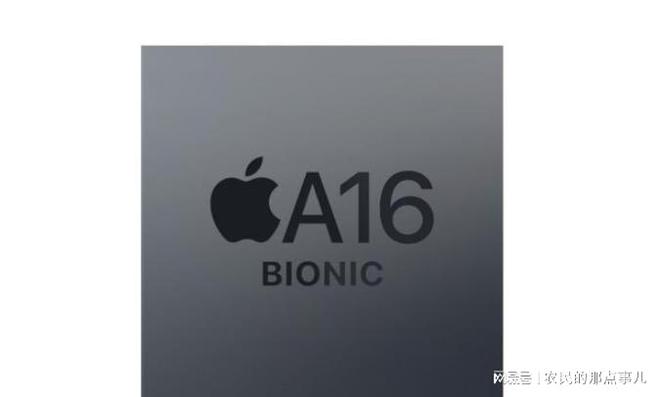 iPhoneSE2024全新曝光158mm窄边框+4纳米芯片实力不凡(图4)