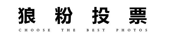 颁奖了！获奖照片果然不一样你能看懂哪几张？(图20)