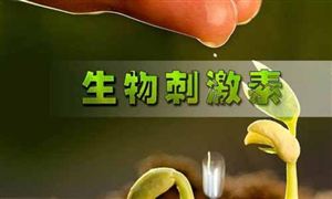 2024年中国光学镜头行业竞争格局及未来发展趋势分析(图7)