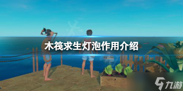 新视觉之记忆灯泡(图4)