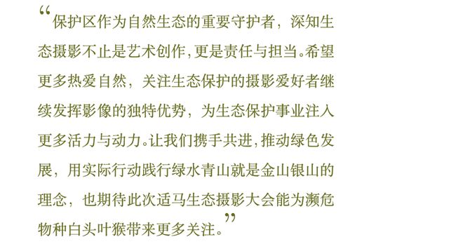 影赛启动2024适马（中国）首届生态摄影大会圆满举行生态摄影大赛正式开始报名！(图4)