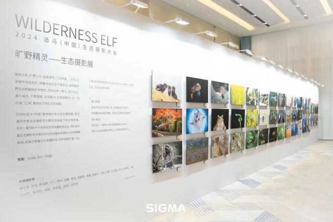 影赛启动2024适马（中国）首届生态摄影大会圆满举行生态摄影大赛正式开始报名！(图3)