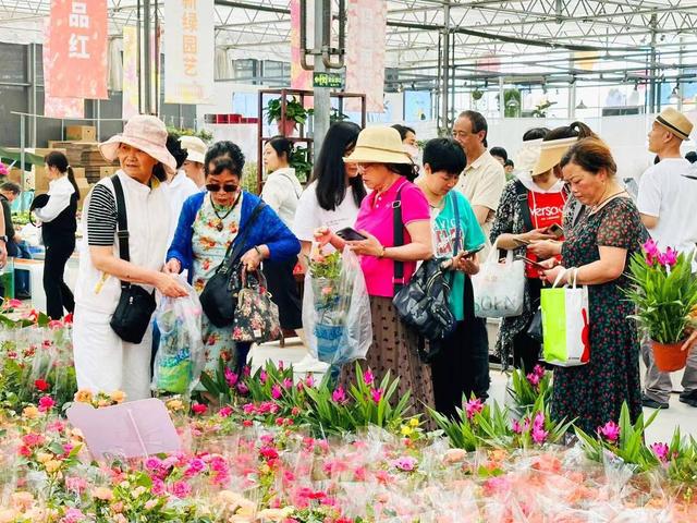2024年成都世界园艺博览会谢幕郫都分会场共接待游客210万人次(图4)