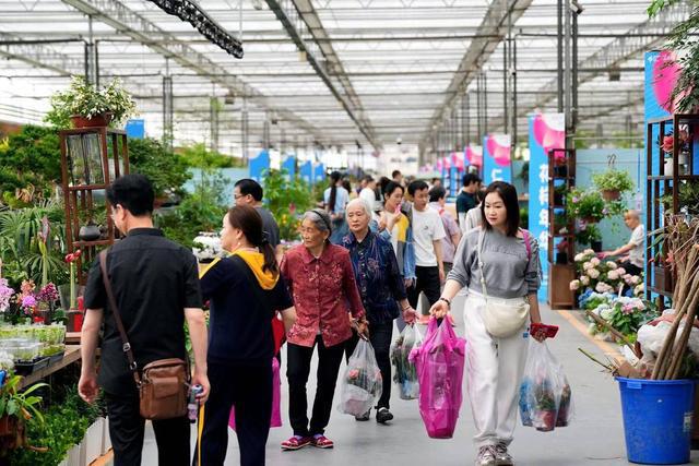 2024年成都世界园艺博览会谢幕郫都分会场共接待游客210万人次(图5)