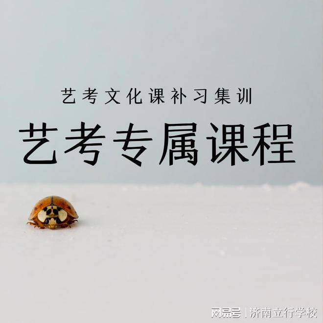 淄博艺考文化课艺考生不容忽视的软实力！(图1)