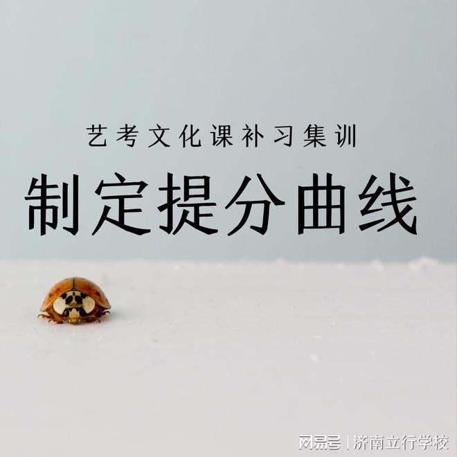 淄博艺考文化课艺考生不容忽视的软实力！(图2)