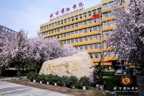 北京8所院校公布2024年艺术类本科招生简章报名考试时间确定(图8)