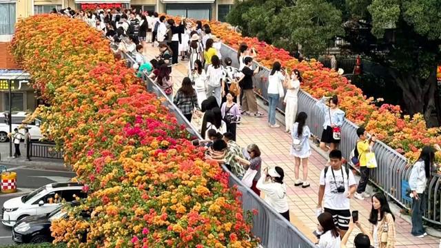 被广州天桥的深秋美哭了拍摄于2024年11月26日下午两点(图1)