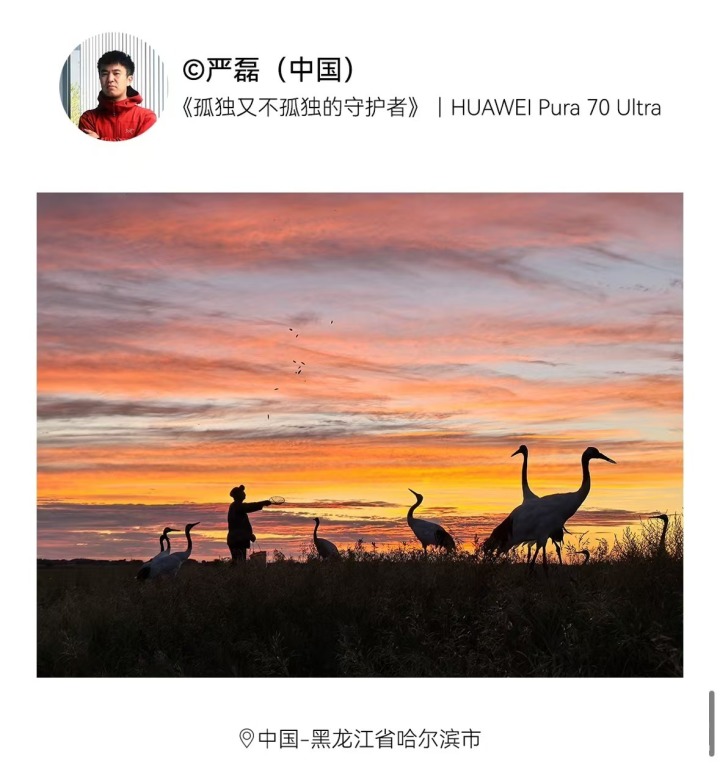 以科技定格温暖的世界2024华为影像大赛颁奖盛典圆满落幕(图3)