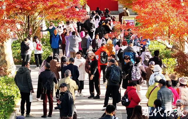 寻找栖霞山最佳机位跟着资深摄影师打卡绝美“枫”景(图3)