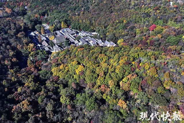 寻找栖霞山最佳机位跟着资深摄影师打卡绝美“枫”景(图7)