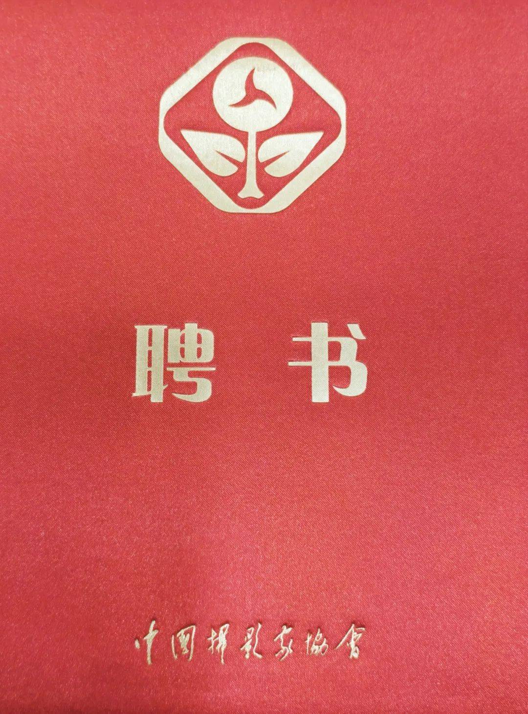 庹兵当选第十届中国摄协教育委员会委员推动摄影教育新征程(图5)