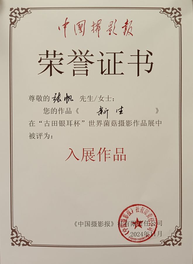 张帆：行走在芦芽山上用镜头发现世界（附摄影辑）『太空像素』（40）(图8)