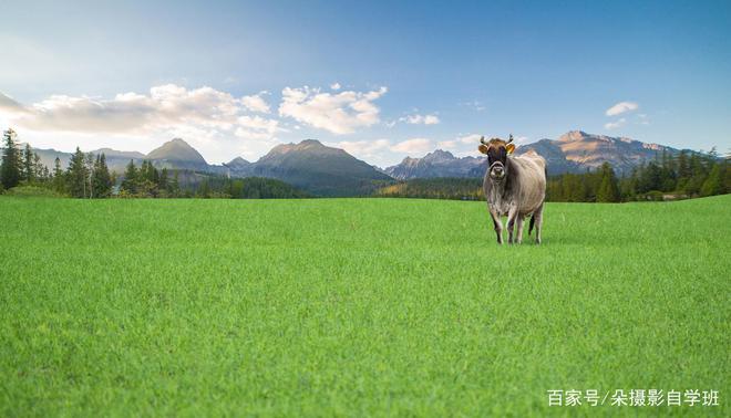 如何提升风光摄影技巧避免拍摄错误掌握风景照片拍摄技巧(图6)