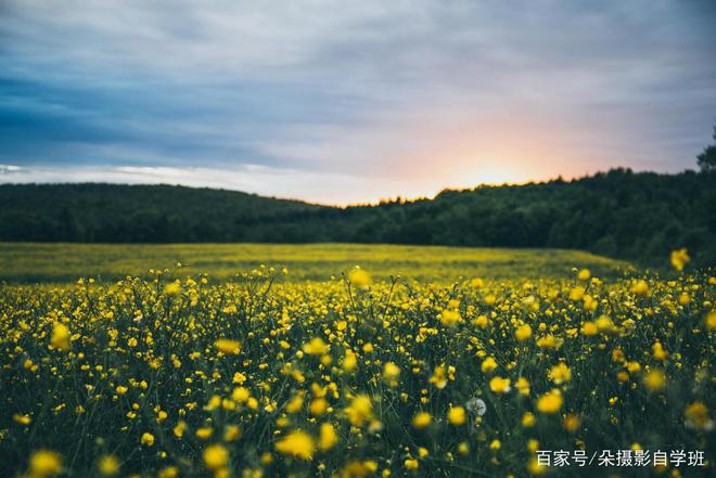 如何提升风光摄影技巧避免拍摄错误掌握风景照片拍摄技巧(图8)