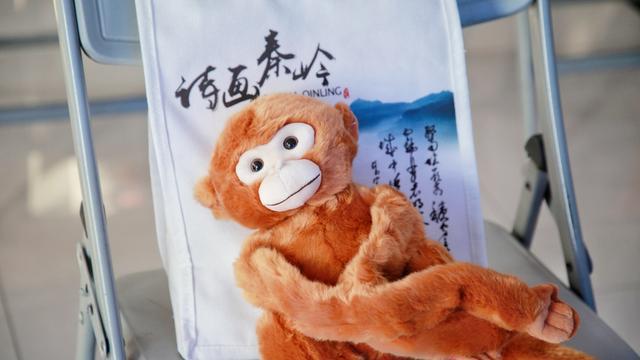 “诗画秦岭”网络摄影展颁奖仪式举行(图9)