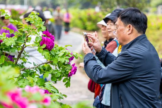 河南的城2024花样出圈！(图6)