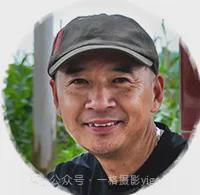 【宾阳优秀摄影】陈建增：我的2024(图13)