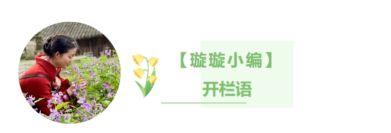 画画倾心·第29期｜这些作品入选第24届平遥国际摄影大展(图1)