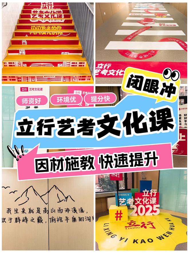 菏泽艺考生文化课：艺术殿堂的智慧密码(图2)
